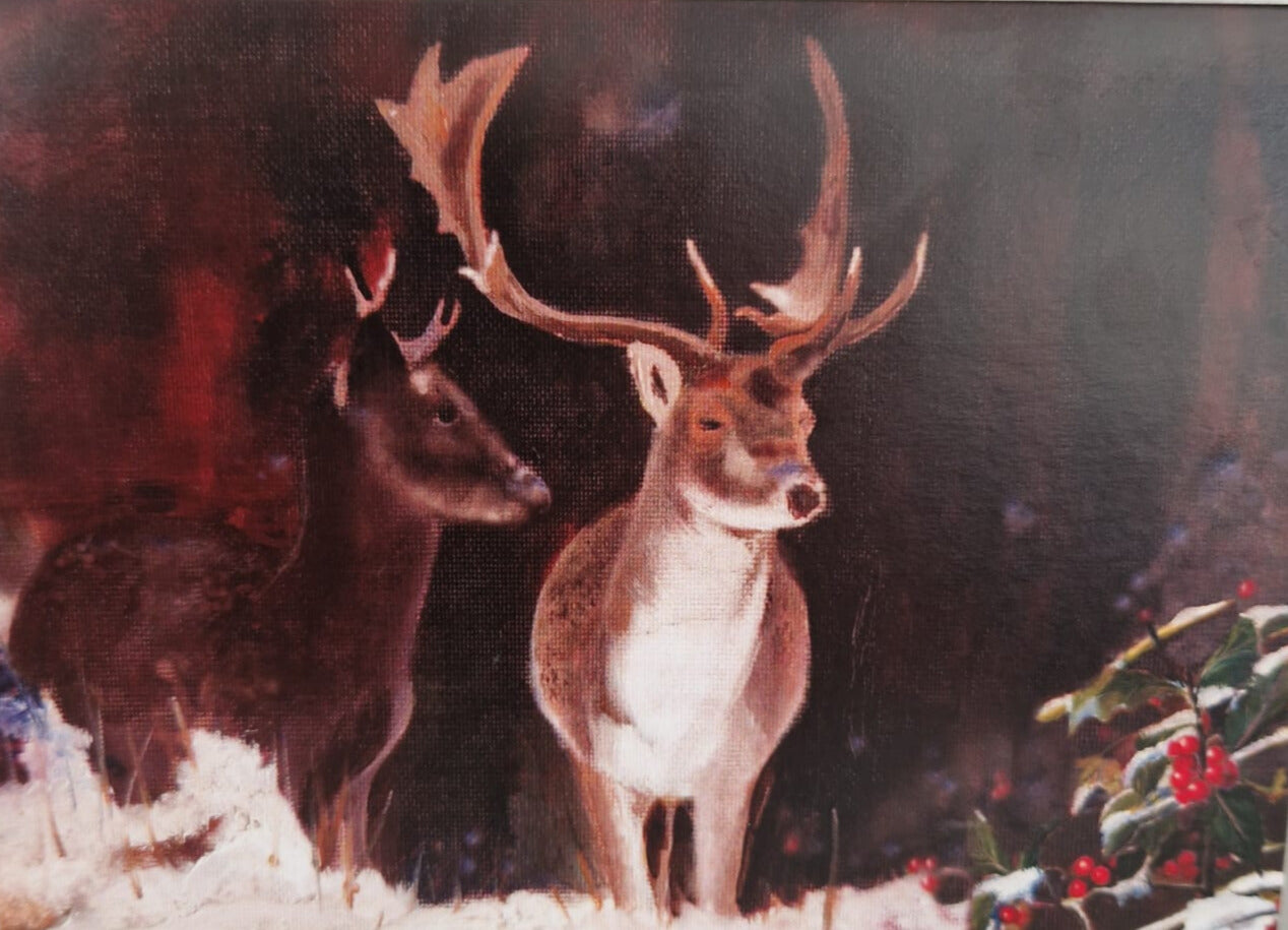 Christmas Cards - 4 plus packs